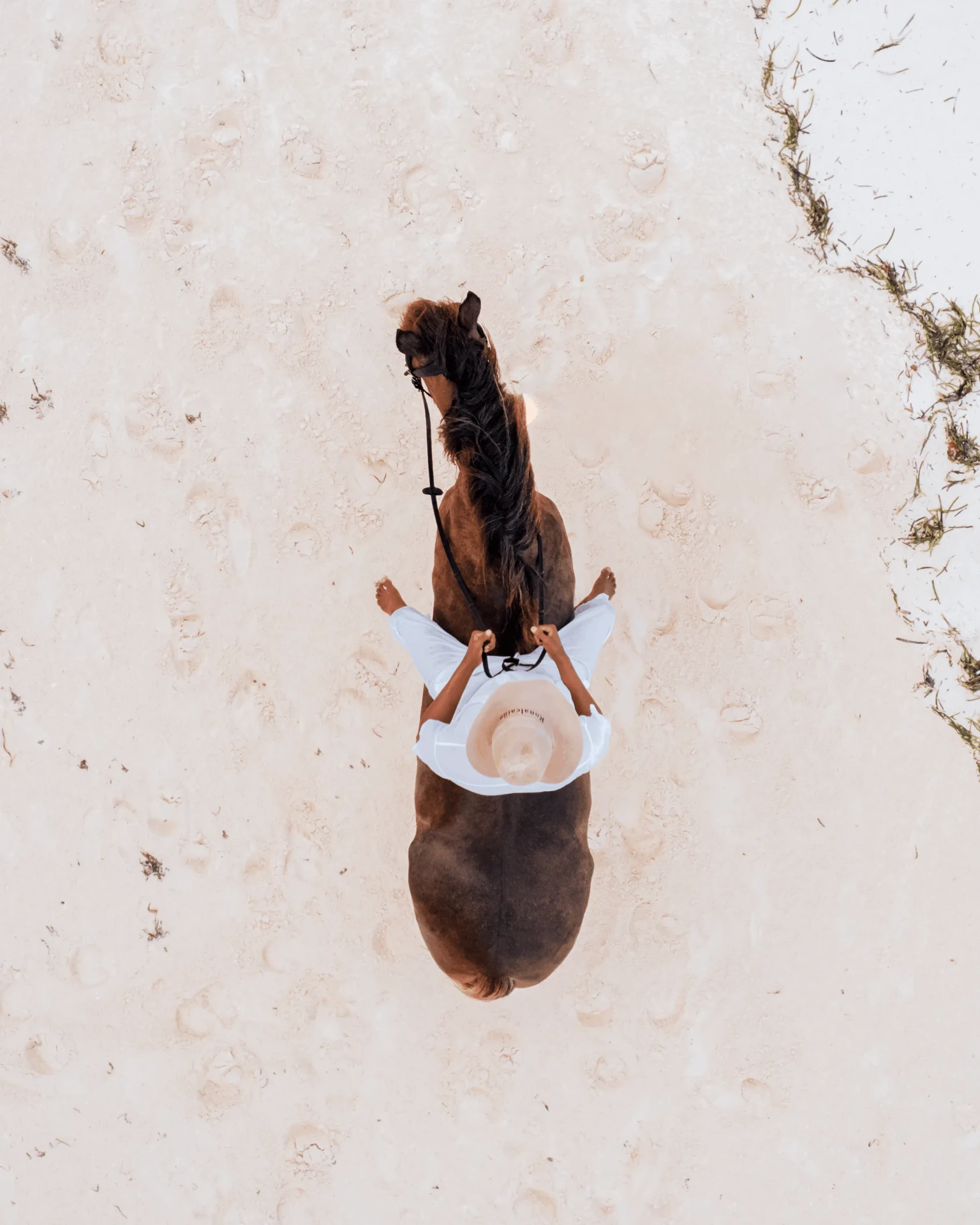 Aerial drone shot over white sand, horse riding photography in Zanzibar