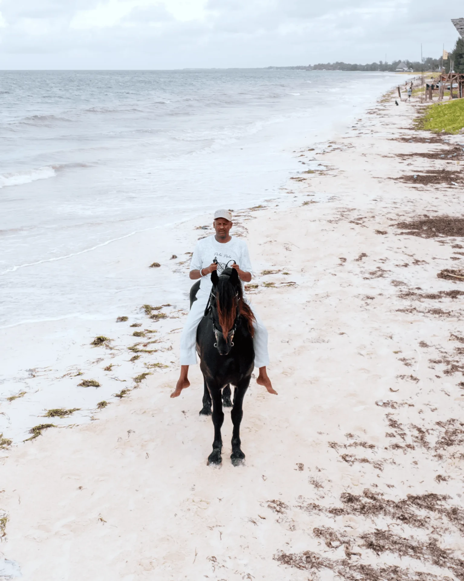 Aerial shot along the shoreline, horse riding photography in Zanzibar