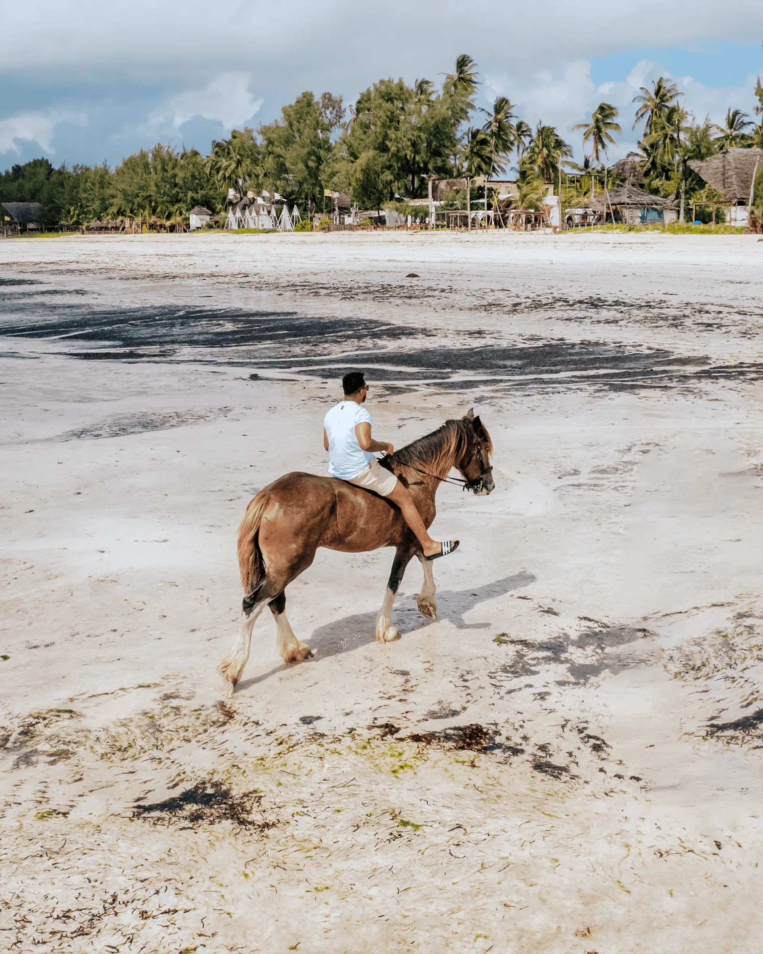 Drone view of a beach ride at low tide, horse riding photography in Zanzibar