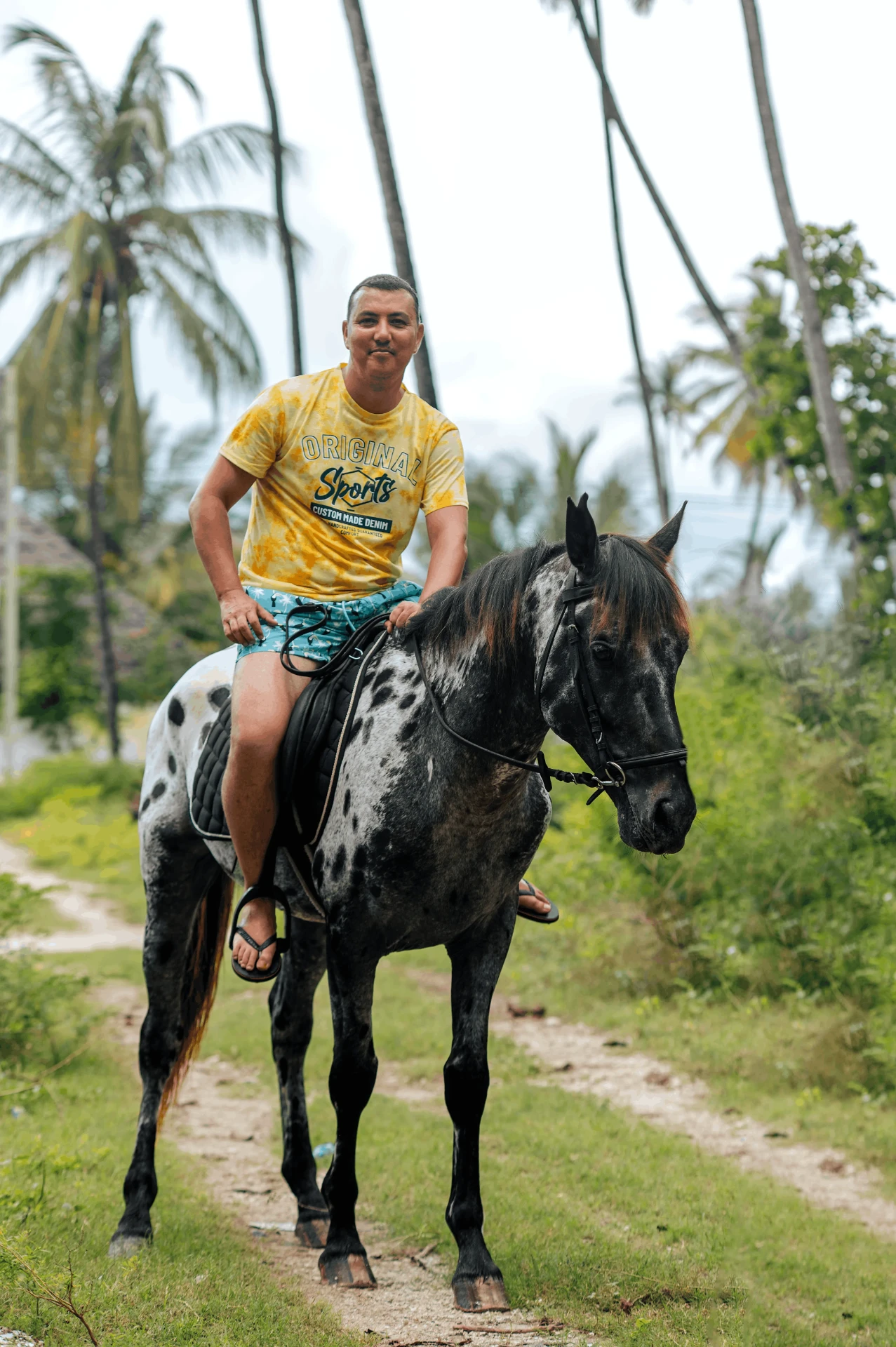 Palm-lined sand track ride, horse riding photography in Zanzibar